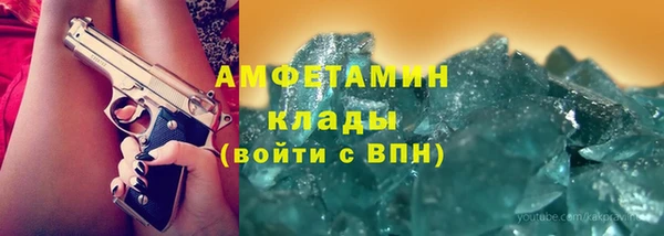 шишки Няндома