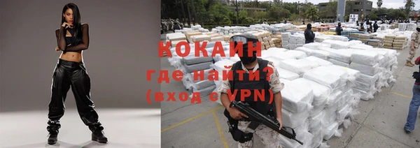 шишки Няндома