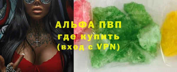 шишки Няндома