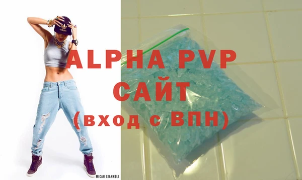 шишки Няндома