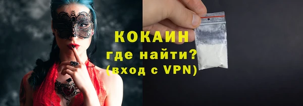 шишки Няндома