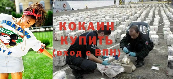 шишки Няндома