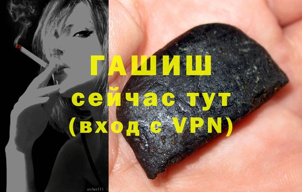 шишки Няндома