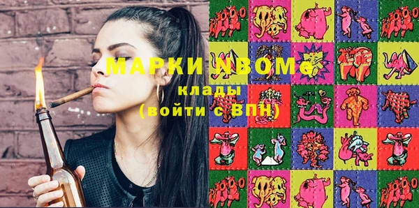 шишки Няндома