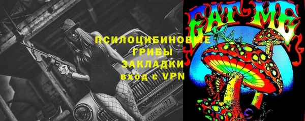 apvp Нязепетровск