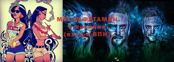 шишки Няндома