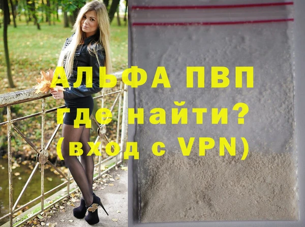 шишки Няндома