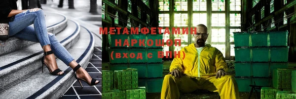 шишки Няндома