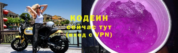 шишки Няндома