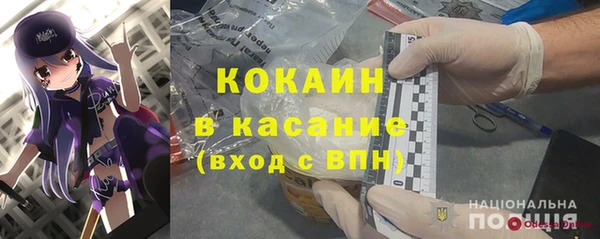 шишки Няндома
