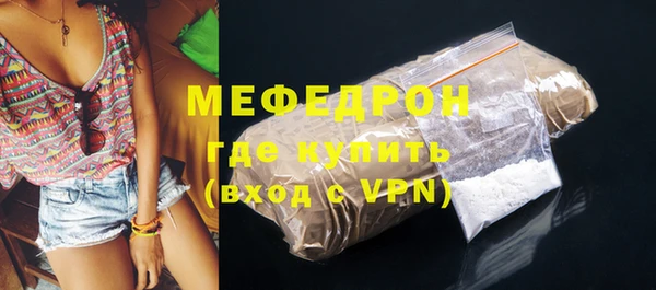 шишки Няндома