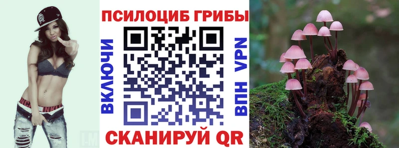 Галлюциногенные грибы Psilocybe  что такое наркотик  Бежецк 